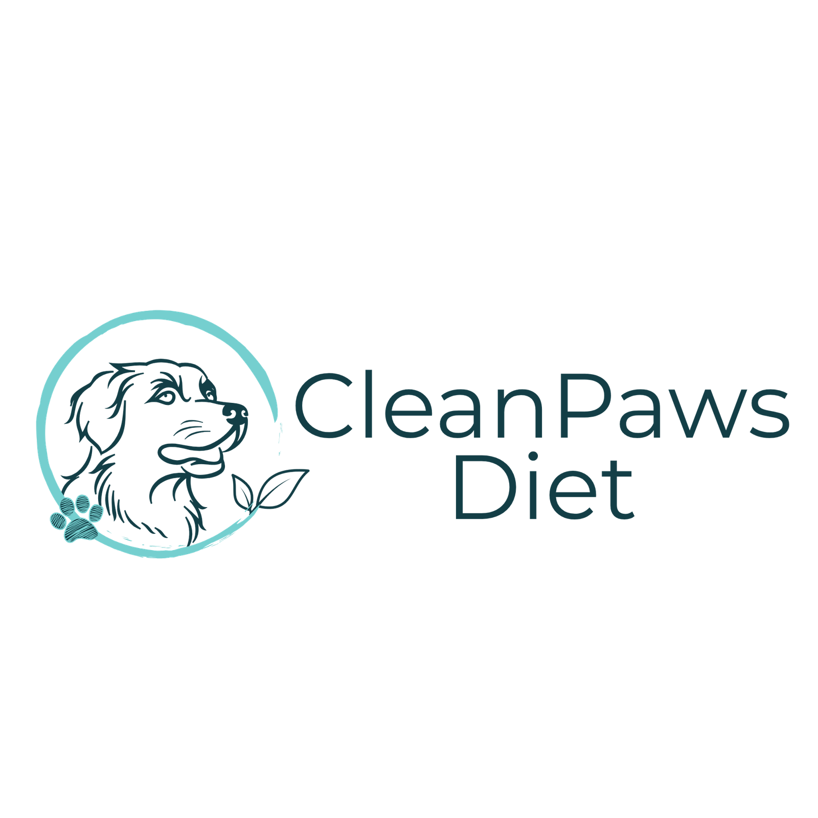 Your Guide to Clean Dog Food & Homemade Treats