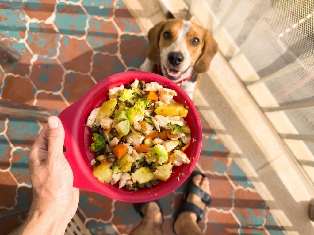 Nutrition & Health